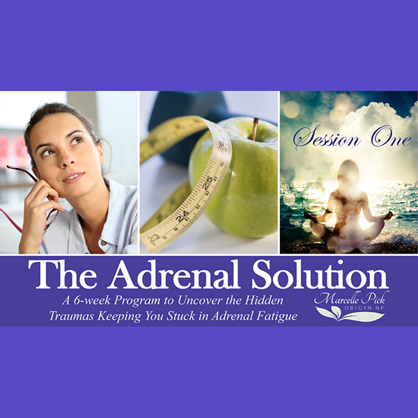 The Adrenal Solution Program