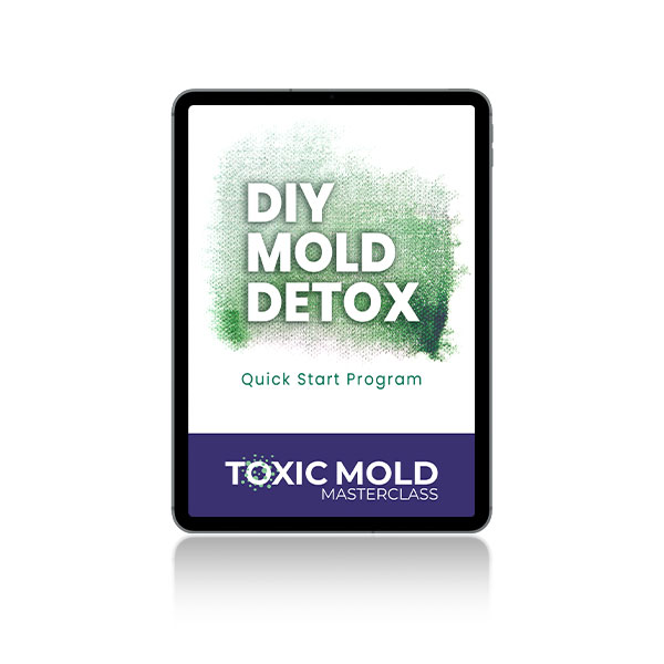 Toxic Mold Masterclass - Action Package